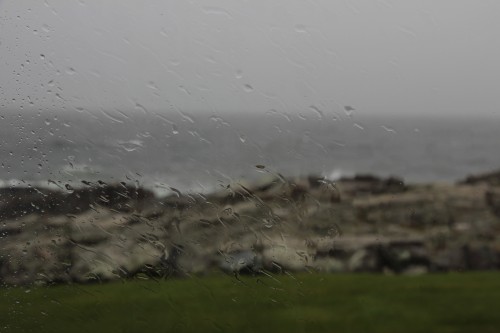 IMG_0183.jpg