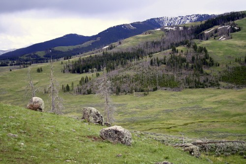 IMG_2692.jpg