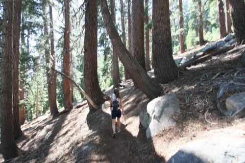 IMG_7894.jpg