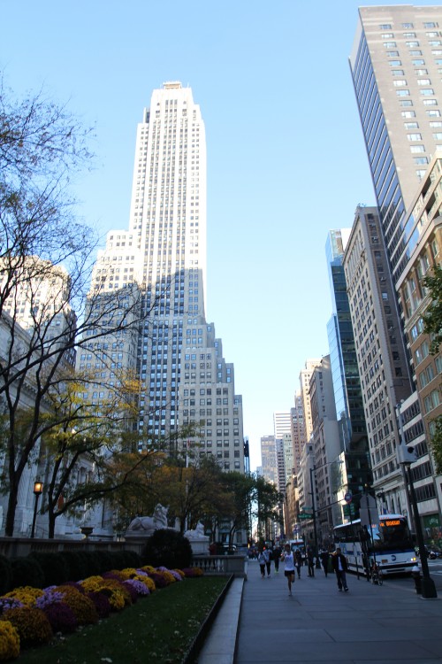 NYC-147-copy.jpg