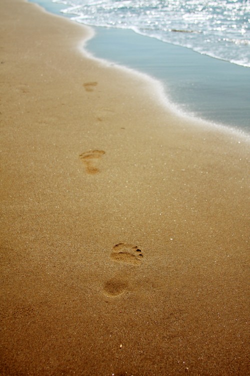zzfootprints.jpg